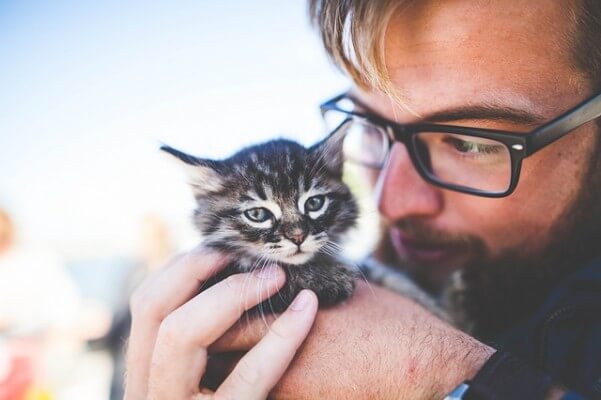 Bild_Tierkrankenversicherung wechseln Mann mit Katze