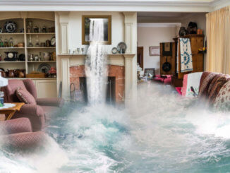 Bild_Wasser in  Wohnung